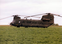 ZD981 photo, click to enlarge ZD981 photo, click to enlarge