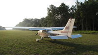 N278SP - Cumberland Island - by Cliff Johsnon