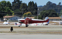 N1299 @ KWVI - 1947 Ercoupe 415-E landing at 2010 Watsonville Fly-In - by Steve Nation