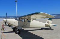 N3100M @ KWVI - Locally-based 1947 Piper PA-12 with tail logo and Tigger cartoon @ 2010 Watsonville Fly-In - by Steve Nation