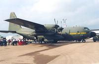 84005 @ FRA - Swedish Air Force , Hercules Tp84 at Rhein Main AFB, Jul 1999 - by Henk Geerlings