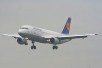 D-AIPA photo, click to enlarge D-AIPA photo, click to enlarge