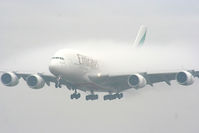 A6-EDF photo, click to enlarge A6-EDF photo, click to enlarge