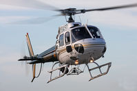 N184SD @ KSLI - Orange County Sheriff's Dept AS 350-B2 coming in for landing at the 2010 Wings Wheels and Rotors show at Los Alamitos JFTB - KSLI - by Damon J. Duran - phantomphan1974