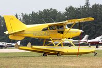 N1004D @ MGN - Parked @ Harbor Springs Airport (MGN) - by Mel II