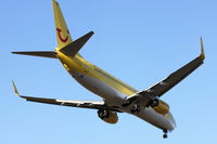 D-ATUA @ EDDL - Tuifly, Boeing 737-8K5(WL), CN: 37245/3486 - by Air-Micha