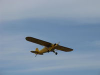 N62065 @ SZP - 1944 Piper J3C-65 CUB, Continental A&C65 65 Hp, takeoff climb Rwy 22 - by Doug Robertson