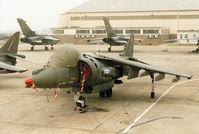 ZD378 @ EGVA - Harrier GR.7, callsign Wildcat 2, of 20[Reserve] Squadron based at RAF Wittering on the flight-line at the 1994 Intnl Air Tattoo at RAF Fairford. - by Peter Nicholson