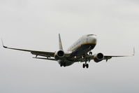 EI-DYZ photo, click to enlarge EI-DYZ photo, click to enlarge