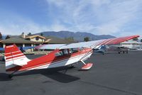 N50380 @ SZP - Bellanca 7ECA at Santa Paula airport during the Aviation Museum of Santa Paula open Sunday - by Ingo Warnecke