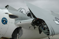 N86572 @ KCNO - chino airshow 2011 - by Todd Royer