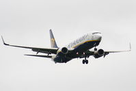 EI-DLY photo, click to enlarge EI-DLY photo, click to enlarge