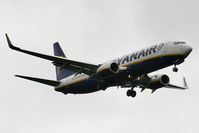 EI-ENF photo, click to enlarge EI-ENF photo, click to enlarge
