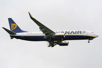 EI-EFD photo, click to enlarge EI-EFD photo, click to enlarge