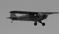 N360AZ @ KCNO - Chino Airshow 2011 - by Todd Royer