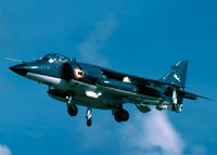 IN603 @ LMML - Sea Harrier IN603 Indian Navy - by raymond