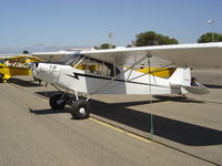 N7037H @ KLPC - On display at the Lompoc Piper Cub Fly-in - by Nick Taylor Photography