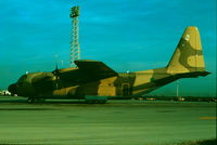 LC115 @ LMML - C130 Hercules LC115 Libyan Air Force - by raymond