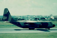 LC117 @ LMML - C130 Hercules LC117 Libyan Air Force - by raymond