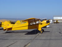 N98661 @ KLPC - On display at the Lompoc Piper Cub Fly in - by Nick Taylor Photography