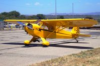 N77524 @ KLPC - On display at the Lompoc Piper Cub Fly in - by Nick Taylor Photography