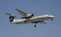 N443QX @ KLAX - LAnding at LAX