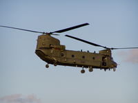 ZA684 @ LMML - Chinook ZA684/AL RAF - by raymond