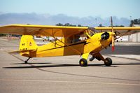 N3496N @ KLPC - Lompoc Piper Cub Fly-in 2011 - by Nick Taylor Photography