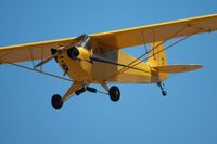 N4C @ KLPC - Lompoc Piper Cub Fly-in 2011 - by Nick Taylor Photography