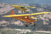 N42144 @ KLPC - Lompoc Piper Cub Fly-in 2011 - by Nick Taylor Photography