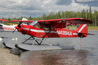 N4894A @ PAFA - PAFA/FAI