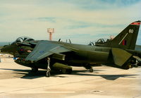 ZD470 @ LMML - Harrier GR7 ZD470 1Sqd RAF - by raymond