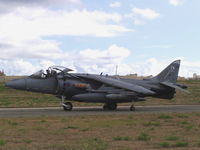 ZG508 @ LMML - Harrier GR9 ZG508/79 4Sqd RAF - by raymond
