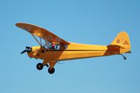 N42144 @ KLPC - Lompoc Piper Cub Fly-in 2011 - by Nick Taylor Photography