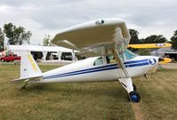 N1770K @ KOSH - Luscombe 8E - by Mark Pasqualino