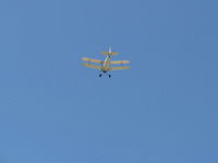 N443BD @ SZP - 1953 C.A.S.A. 1.131 Bucker JUNGMANN, Lycoming O-360 180 Hp upgrade, takeoff climb Rwy 22 - by Doug Robertson