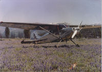 N1893C - Our Cessna taken in Truckee CA on the old Truckee airport in a field of flowers - by Robert Roy