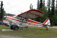 N83404 @ AK28 - Cubs, Cubs, and Cubs!!  That's Alaska. - by Duncan Kirk