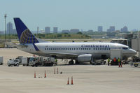 N11641 @ DFW - Continental at DFW Airport - by Zane Adams