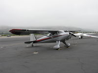 N77L @ SZP - 1948 Luscombe 8A, Continental C90 90 Hp - by Doug Robertson