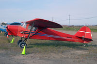 N43469 @ 94Z - A 1949 Taylorcraft in Nome, AK. Who can believe it? - by Duncan Kirk