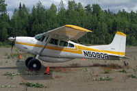 N5090R @ UUO - A good little field is Willow - by Duncan Kirk