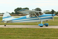 N3140A @ OSH - 1953 Cessna 170B, c/n: 25784 - by Terry Fletcher