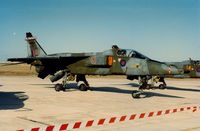 XX741 @ LMML - Jaguar XX741 6Sqd RAF - by raymond