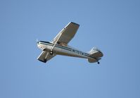 N170TW @ LAL - Cessna 170A - by Florida Metal