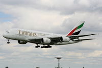 A6-EDG photo, click to enlarge A6-EDG photo, click to enlarge