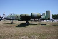 78-0708 @ MTC - Wart Hog