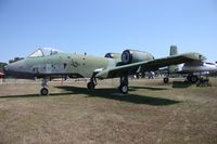 78-0708 @ MTC - Wart Hog
