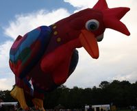 PH-AAN - Cockerel