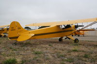 N19512 @ KLPC - Lompoc Piper Cub fly in 2011 - by Nick Taylor Photography